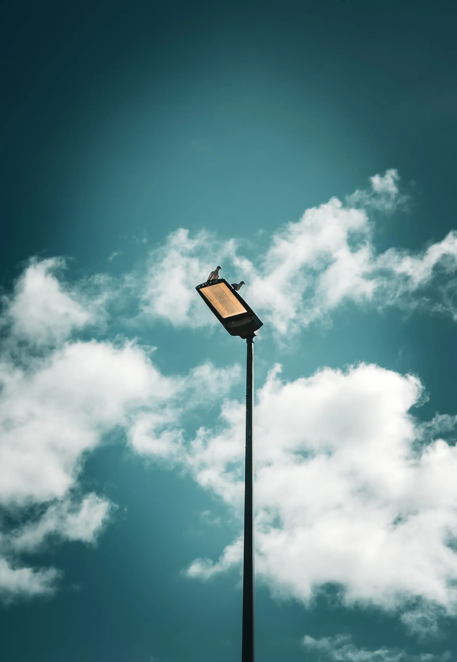 Oiseau perché sur un lampadaire sous les nuages